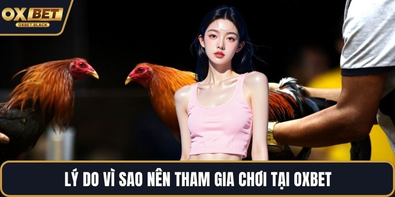 Lý do vì sao nên tham gia chơi tại OXBET